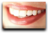 Boca Raton Dentist Directory