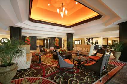 the hilton