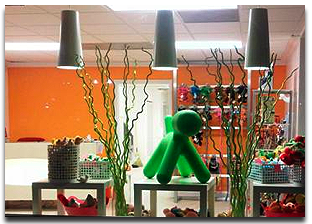 boca raton dog groomers mod dog salon boutique