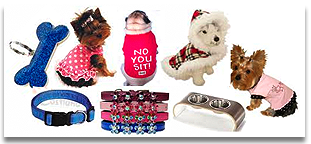 Boca Raton Dog Supplies Online Pet Store Online Dog Boutique