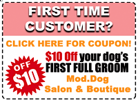 Dog Boarding Boca Raton | Dog Grooming | Pet Boarding Boca Raton