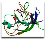 Human Chorionic Gonadotropin Boca Raton