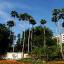 Renaissance Orlando Resort at SeaWorld